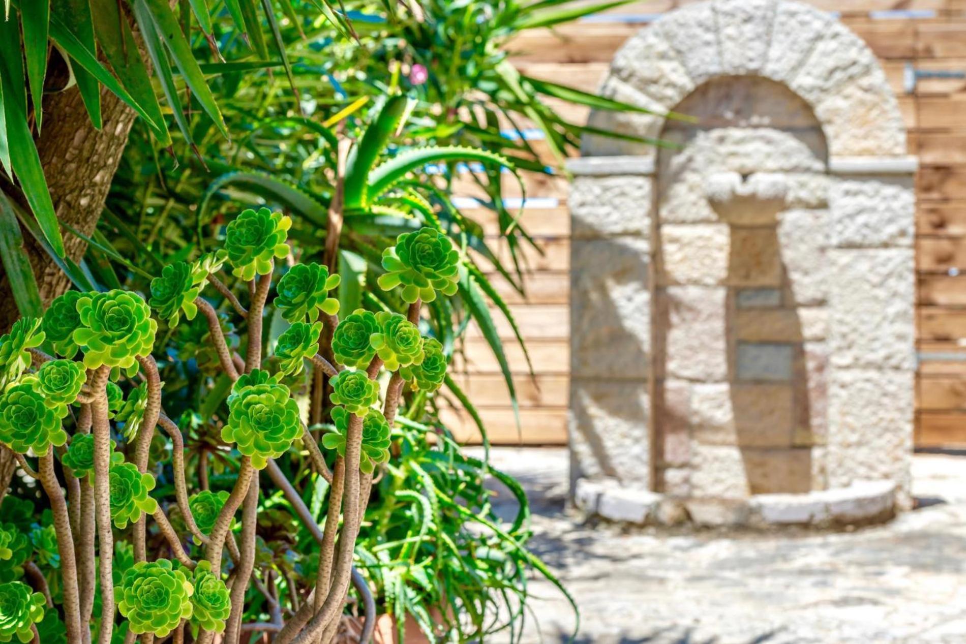 Agricola Alykes (Zakynthos)
